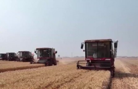 【在希望的田野上·三夏時節(jié)】我國小麥收獲過七成 夏種陸續(xù)展開
