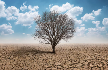 科普 | 自然災(zāi)害頻發(fā)的今天，人類可以做些什么？