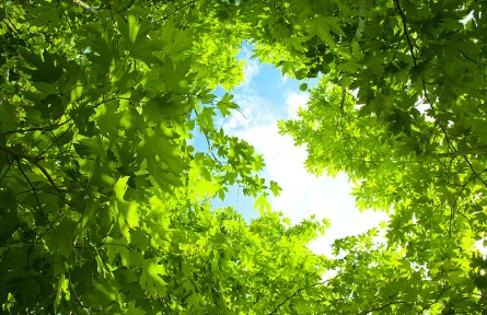 辟謠 | 消暑納涼有哪些誤區(qū)