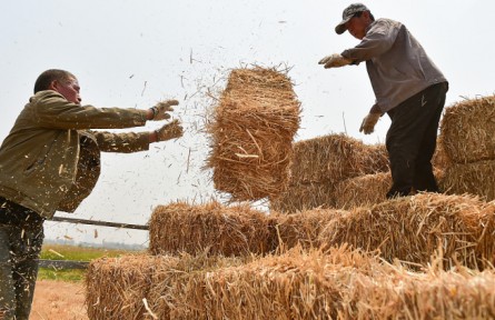 綠色中國(guó)“加減法” 秸稈綜合利用 “生態(tài)包袱”變“綠色財(cái)富”