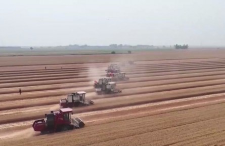 【在希望的田野上·三夏時(shí)節(jié)】我國已收獲小麥2.89億畝 夏種有序推進(jìn)