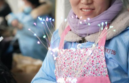 致富新業(yè)，山區(qū)制造：秦巴山區(qū)培育新社區(qū)工廠