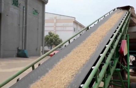 河南：新糧入庫“智慧倉” 安全保管有保障