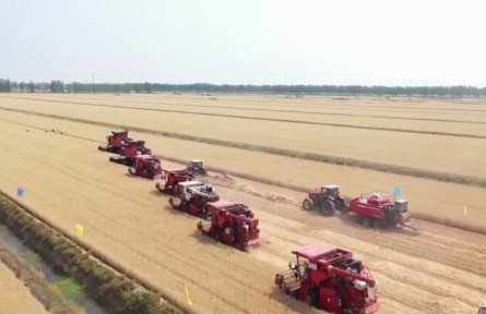 全國小麥大規(guī)模機收基本結(jié)束 2022年夏糧豐收成定局