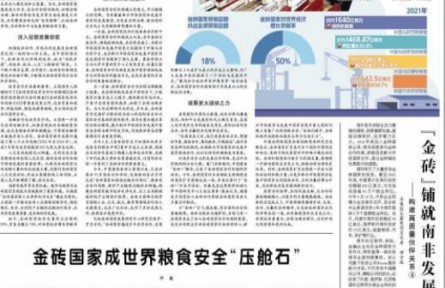 金磚國家成世界糧食安全“壓艙石”