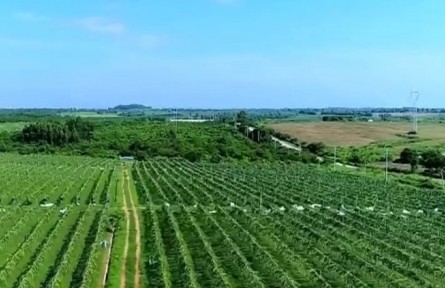 海南率先在全國(guó)推廣博士科技農(nóng)莊