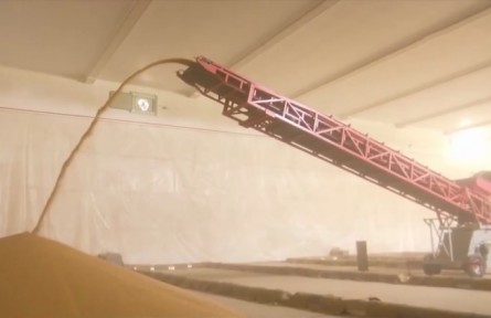 夏糧秋糧怎么分類？各自有哪些品種？