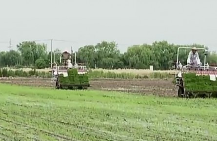 現(xiàn)代農(nóng)業(yè)科技 保障糧食穩(wěn)產(chǎn)提質(zhì)