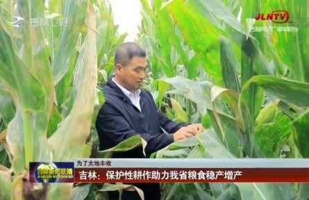 吉林：保護性耕作助力糧食穩(wěn)產增產