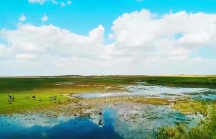 大美邊疆行 | 駿馬揚(yáng)鬃逐夢(mèng)去，民富邊興幸福長(zhǎng)