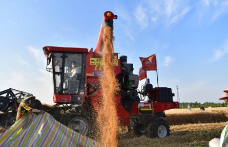 我國糧食產(chǎn)量十年再上一個(gè)千億斤新臺(tái)階