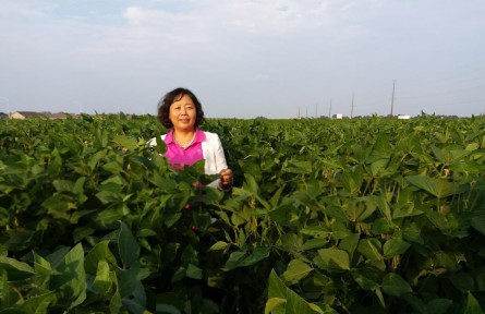 欒曉燕：“豆大”的事兒，她一干就是37年