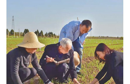 八旬小麥育種專家趙瑜：將“育種報(bào)國(guó)”夢(mèng)想寫在大地上