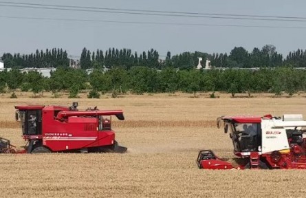 河北省石家莊市欒城區(qū)：種糧大戶(hù)的“增收經(jīng)”