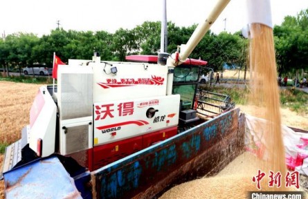 “80后”“糧二代”回歸土地筑就幸福生活