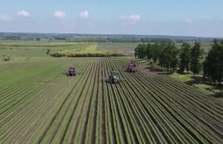 【在希望的田野上·三夏時(shí)節(jié)】不誤農(nóng)時(shí)促夏管 夯實(shí)糧食穩(wěn)產(chǎn)基礎(chǔ)