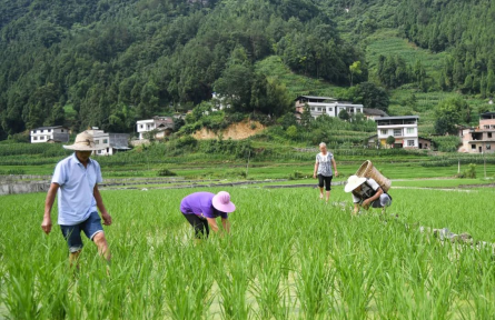 這些一次性補貼、補助！你領(lǐng)到了嗎？