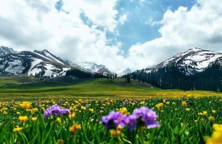 以新疆為題，聚青年創(chuàng)意——這個(gè)全國(guó)大賽很特別