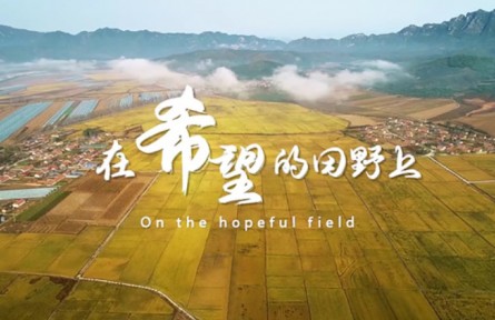 “農(nóng)民院士”朱有勇續(xù)寫(xiě)鄉(xiāng)村振興新篇章