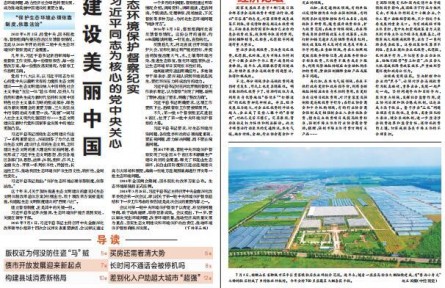 “弱鳥(niǎo)先飛”的寧德實(shí)踐