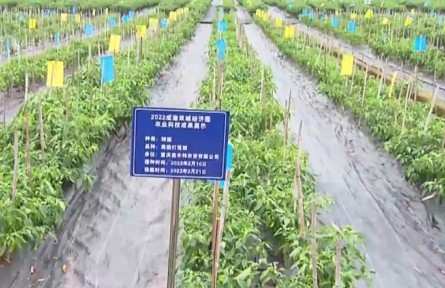 實(shí)施五大行動(dòng) 重慶將全力打造西部種業(yè)高地