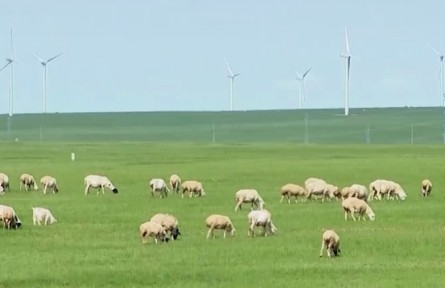 內(nèi)蒙古：筑牢北疆生態(tài)安全屏障