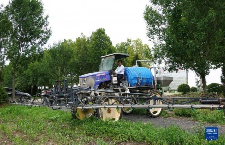 多種糧、種好糧——種糧大戶在行動