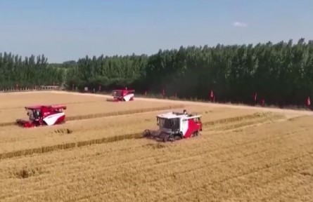 【奮斗者正青春】山東農(nóng)大科研團(tuán)隊(duì)：用青春守護(hù)中國糧