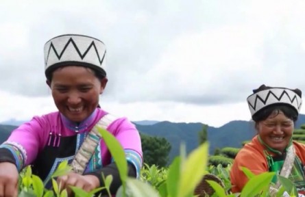 【奮進(jìn)新征程 建功新時(shí)代·大美邊疆行】一起走進(jìn)云南和廣西