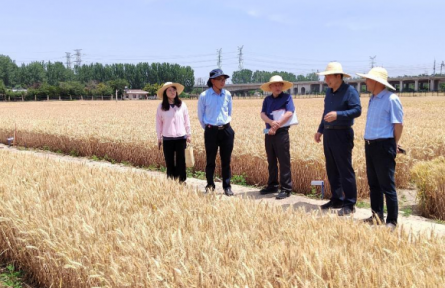 審計糧食安全，端牢中國“飯碗”