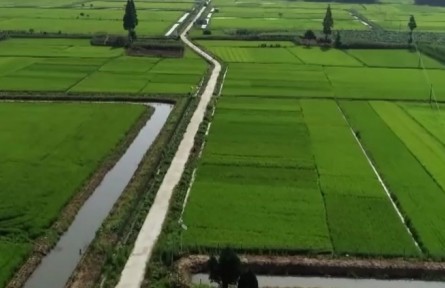 陜西漢中：科技賦能稻漁共養(yǎng) 助力穩(wěn)糧增收