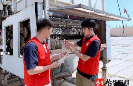 效率提高20倍！南京林業(yè)大學(xué)學(xué)子發(fā)明智能分揀系統(tǒng)，助力新疆長絨棉豐產(chǎn)增收