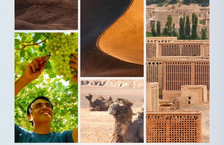 時政新聞眼|習近平考察吐魯番，關注了哪些獨特之處？