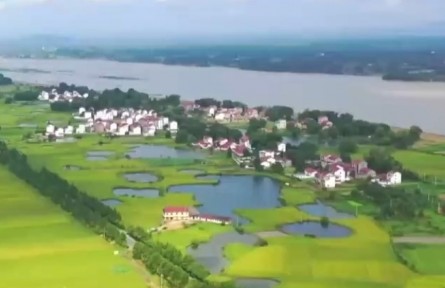 江西鄱陽：迎來“雙搶季” 數(shù)字智能助力豐產(chǎn)增產(chǎn)