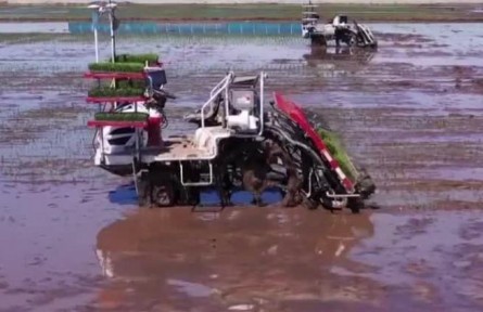 黑龍江：無人農(nóng)場 上演自動(dòng)插秧作業(yè)