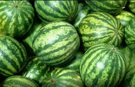 二十四節(jié)氣｜大暑時(shí)節(jié)，“瓜王”手把手教您挑西瓜！