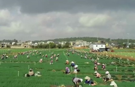 云南：穩(wěn)住重點人群收入 全力兜牢民生底線