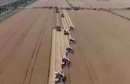 2022年我國(guó)夏糧產(chǎn)量創(chuàng)歷史新高