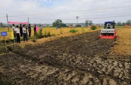 農(nóng)業(yè)農(nóng)村部：擴種油菜是硬任務(wù)