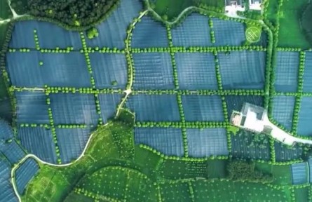 貴州、遼寧 、湖南開拓創(chuàng)新走好綜合發(fā)展鄉(xiāng)村振興之路