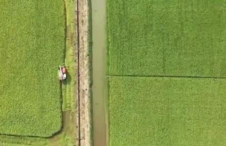 夏收夏種進行時 顆粒歸倉迎豐收