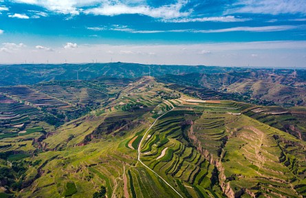 從綠滿(mǎn)旱塬到金山銀山——甘肅定西新一輪退耕還林拓寬生態(tài)致富路