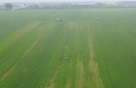 遼寧：多舉措開展生產(chǎn)自救 降低農(nóng)作物因?yàn)?zāi)損失