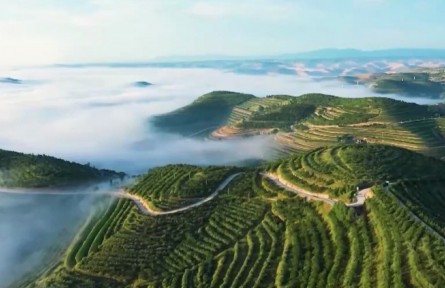 【奮進(jìn)新征程 建功新時(shí)代·非凡十年】奮力譜寫現(xiàn)代化美麗新寧夏壯麗篇章