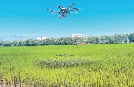 北京：無(wú)人機(jī)飛防作業(yè)首用4項(xiàng)綠色新技術(shù)