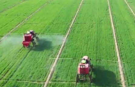 ?  山東：農(nóng)業(yè)社會化服務 助力夏管提質增效