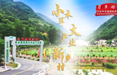 陜西：小木耳 大產(chǎn)業(yè) 新鄉(xiāng)村