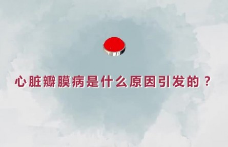 健康問答 | 心臟瓣膜病是什么原因引發(fā)的？如何精準(zhǔn)治療？