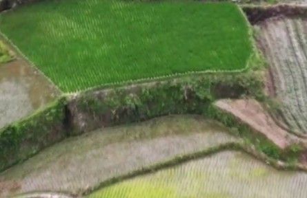 【解碼十年】開(kāi)啟人與自然和諧共生新篇章