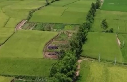 四川：多措并舉抗旱保灌 確保秋糧穩(wěn)產(chǎn)